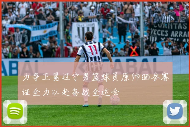 力争卫冕辽宁男篮球员原帅晒参赛证全力以赴备战全运会