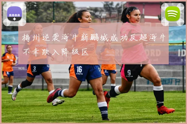 梅州逆袭海牛新鹏城成功反超海牛不幸跌入降级区