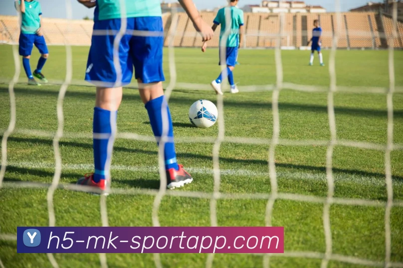 MK体育平台生态图